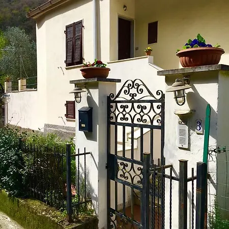 Holiday - Cristina -